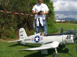 Flugtage